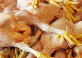 Grippe aviaire : Bouaké déclarée zone de ‘’surveillance accrue’’