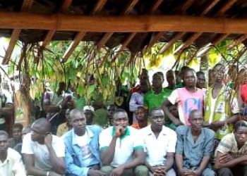 Mont Péko : Après le rapport du Midh, le Camjb-ci prend position