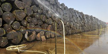 Côte d’Ivoire: La hausse des impôts menace 8.000 emplois du secteur du bois