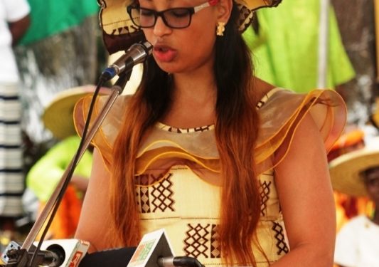 JNVA 2015 à Daoukro : Ce que gagne le monde paysan