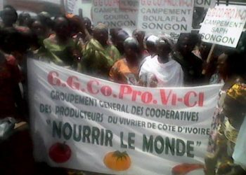 Présidentielle : Zamblé aux producteurs «Ado est le meilleur choix»