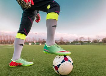 Omnis animi quia reprehenderit aut est incidunt