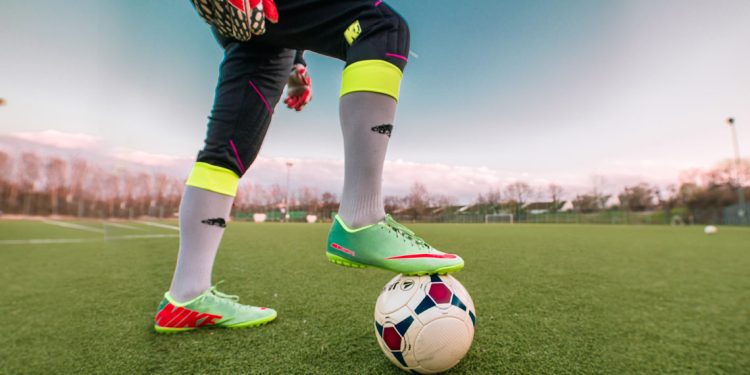 Omnis animi quia reprehenderit aut est incidunt