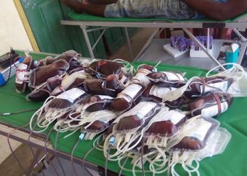 Opération «Sauvons des vies» : L’UJBK collecte 537 poches de sang