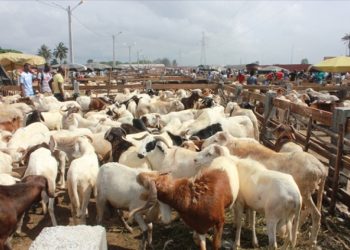 Mairie de Port-Bouët: La CBCRL dénonce l&rsquo;existence de faux frais dans le secteur du Bétail