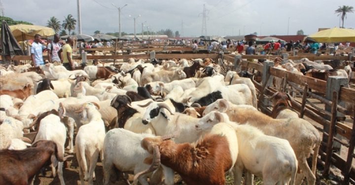 Mairie de Port-Bouët: La CBCRL dénonce l&rsquo;existence de faux frais dans le secteur du Bétail