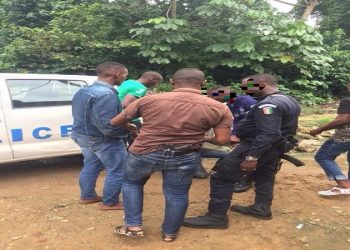 Saisine de drogue : Plusieurs personnes interpellées dans la forêt du Banco