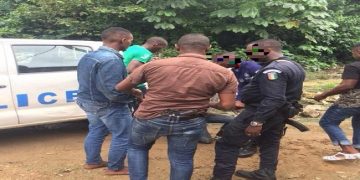 Saisine de drogue : Plusieurs personnes interpellées dans la forêt du Banco