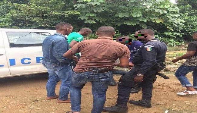 Saisine de drogue : Plusieurs personnes interpellées dans la forêt du Banco