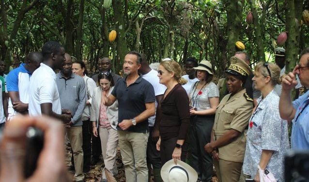 Djékanou : La Gouverneure générale Julie Payette visite une plantation de cacao