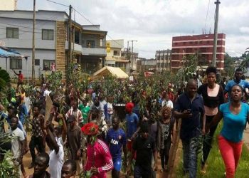 Cameroun : Les 79 élèves enlevés, ont été libérés