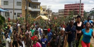 Cameroun : Les 79 élèves enlevés, ont été libérés