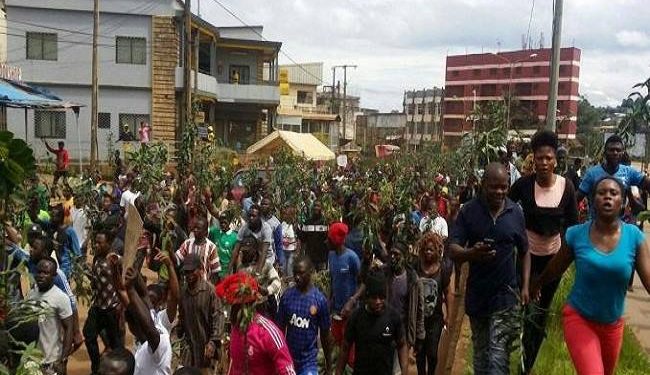 Cameroun : Les 79 élèves enlevés, ont été libérés