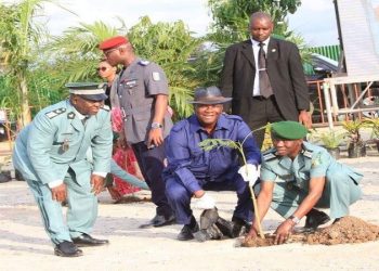 Journée nationale de paix : Ouattara prend part à un ‘’planting d’arbres’’
