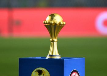 CAN 2019 : L’Afrique du sud et l’Egypte candidats pour remplacer le Cameroun