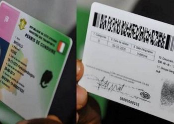 Accidents de la route : Suspension du permis de conduire du «tueur» de Bulldozer pour 20 ans