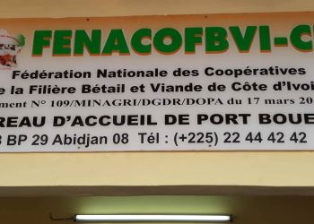 Filière bétail-viande : La Fenacofbvi-ci se dote d’un bureau d’accueil