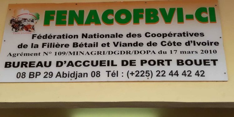 Filière bétail-viande : La Fenacofbvi-ci se dote d’un bureau d’accueil