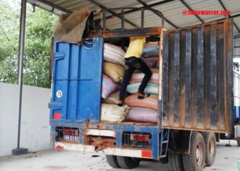 Bouaké : Des tonnes d’anacarde dissimulées sous du maïs convoyées vers le Ghana