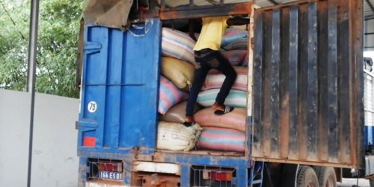 Bouaké : Des tonnes d’anacarde dissimulées sous du maïs convoyées vers le Ghana