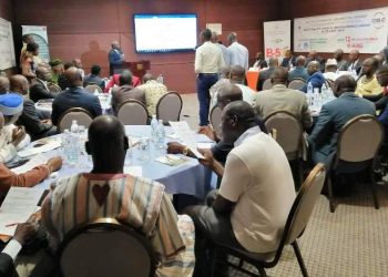 Formation-Coeb-ci: Les opportunités d&rsquo;investissements exposées aux hommes d&rsquo;affaires burkinabè