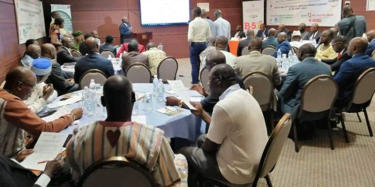 Formation-Coeb-ci: Les opportunités d&rsquo;investissements exposées aux hommes d&rsquo;affaires burkinabè