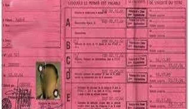 Coopération : Les permis de conduire burkinabè ne seront plus échangés en France à partir de septembre prochain