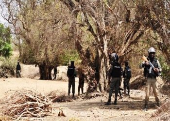 Burkina : 3 policiers tués dans une attaque sur l’axe Djibo-Mentao