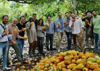 Côte d’Ivoire: Le Groupe Puratos visite les plantations de cacao de la coopérative ECSP