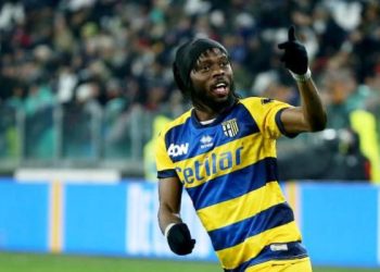 Football : Parme met Gervinho à l’écart