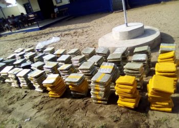 Grand-Bassam: Saisie de 452 kg de cannabis 