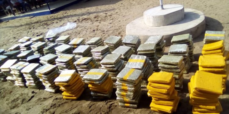 Grand-Bassam: Saisie de 452 kg de cannabis