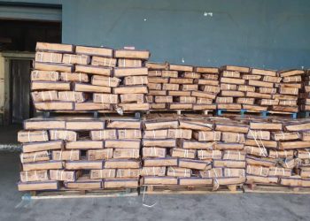 Côte d’Ivoire : 30 tonnes de poissons avariés saisis