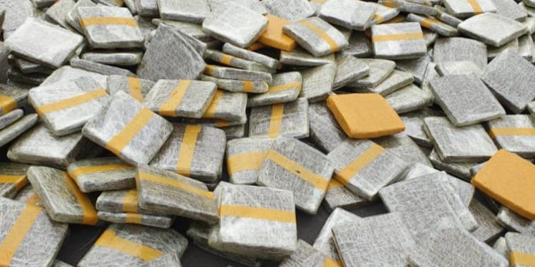 Côte d’Ivoire: 1,5 tonne de cannabis saisis à Abobo et à Grand-Bassam