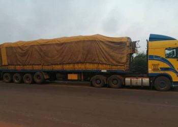 Traffic de produits agricoles : 110 tonnes d&rsquo;anacardes saisies à Agnibilékrou