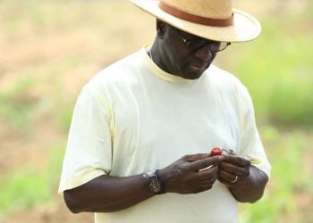 Côte d&rsquo;Ivoire/Marcel Amon Tanoh : «Pourquoi j’ai quitté le RHDP»