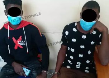 Trafic de drogue: 3 dealers dans les mailles de la Police à Yamoussoukro et à Guiglo
