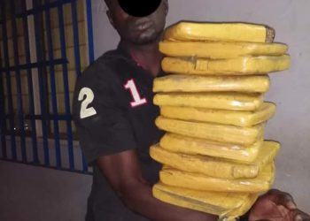 Lutte contre la drogue: Un trafiquant pris la main dans le sac avec 11 blocs de cannabis