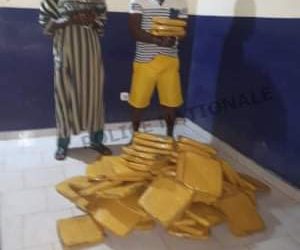 Lutte contre la drogue: Près de 80 kg de cannabis saisis à San-Pedro