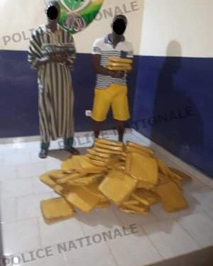 Lutte contre la drogue: Près de 80 kg de cannabis saisis à San-Pedro