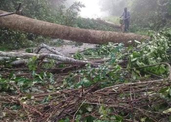 Désobéissance civile: La grogne contre le 3è mandat gagne du terrain