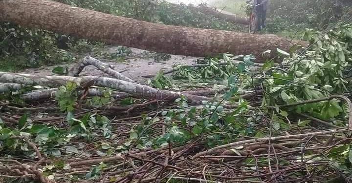 Désobéissance civile: La grogne contre le 3è mandat gagne du terrain