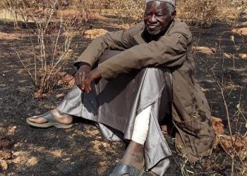 Après l’incendie de sa forêt : L’Etat burkinabè s’engage à clôturer le site de son Prix Nobel Alternatif