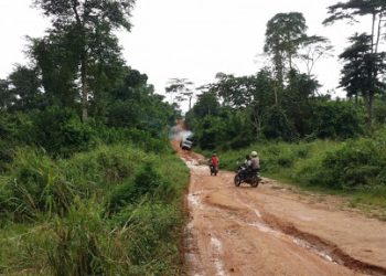 Insécurité/ Agboville: Un deuxième pisteur de cacao attaqué, 21 millions emportés