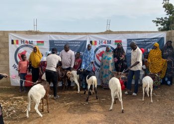 Burkina/Tabaski : Une quarantaine de moutons distribués aux veuves par AGV et son partenaire H4M Belgique