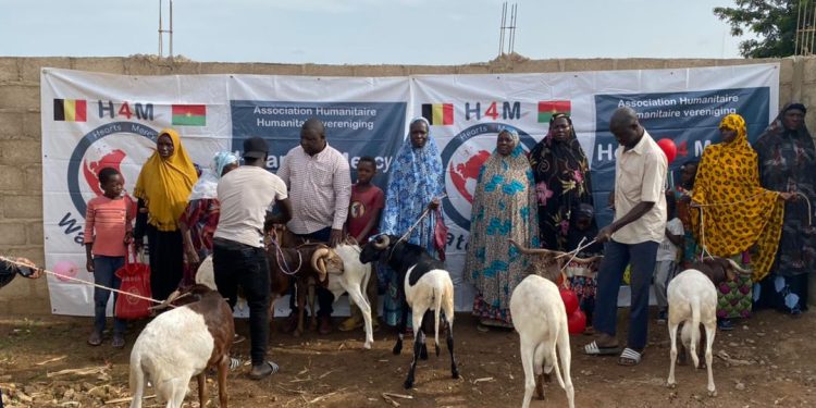 Burkina/Tabaski : Une quarantaine de moutons distribués aux veuves par AGV et son partenaire H4M Belgique