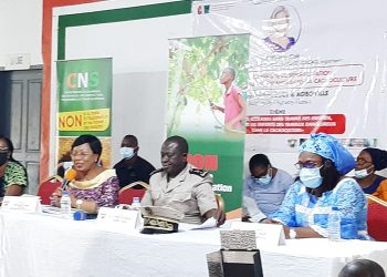 Côte d&rsquo;Ivoire: 8000 enfants retirés des griffes de la maltraitance ( Sylvie Patricia Yao)