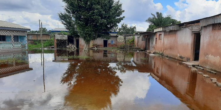 Agboville: Plusieurs habitations inondées par la crue du fleuve Agneby
