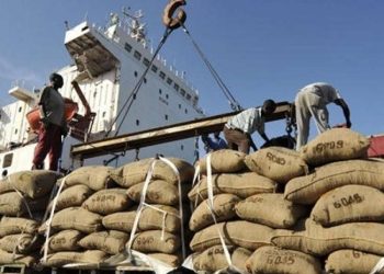 Côte d&rsquo;Ivoire : Le prix du kg de cacao fixé à 825 FCFA et 700 FCFA pour le café