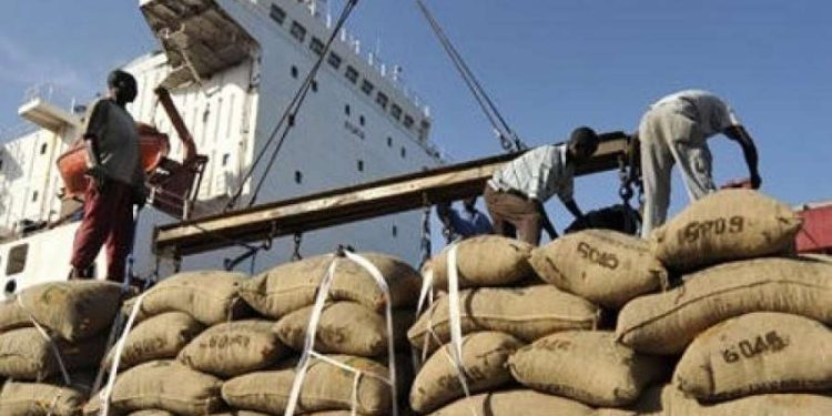 Côte d&rsquo;Ivoire : Le prix du kg de cacao fixé à 825 FCFA et 700 FCFA pour le café